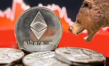 Comprendre le Bull Run et le Bear Market dans la Cryptomonnaie