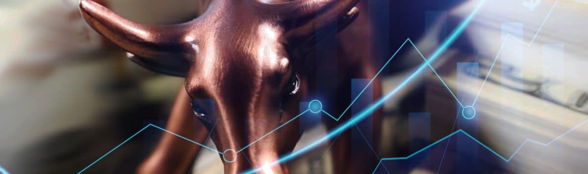 Guide complet du Bull Run Crypto