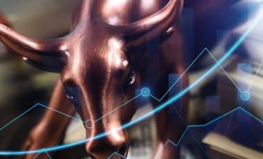 Guide complet du Bull Run Crypto