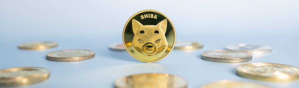 Tout savoir sur la crypto Shiba Inu