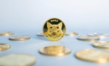 Tout savoir sur la crypto Shiba Inu