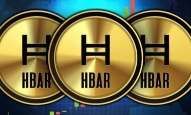 univers du Hedera Hashgraph