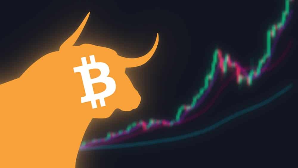 Indicateurs clés d'un Bull Run