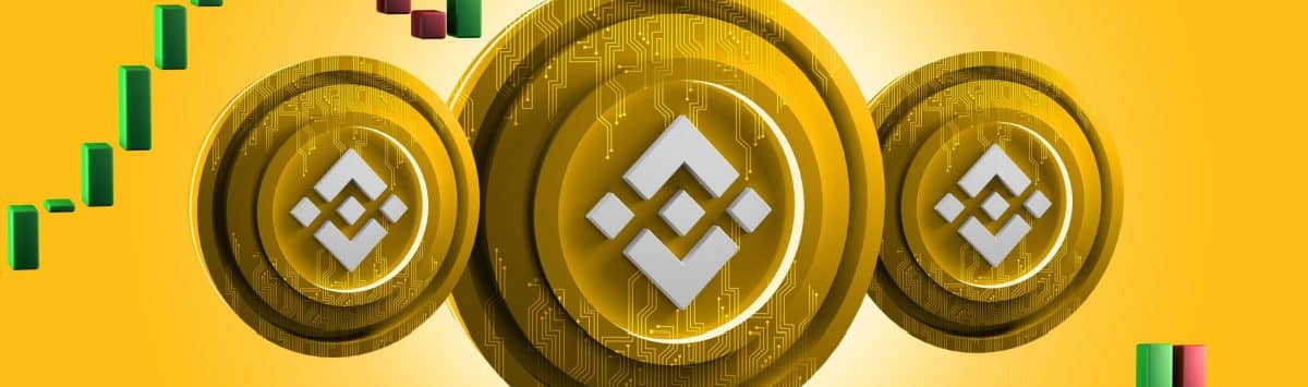 Binance prend le pari de lister le même coin mème