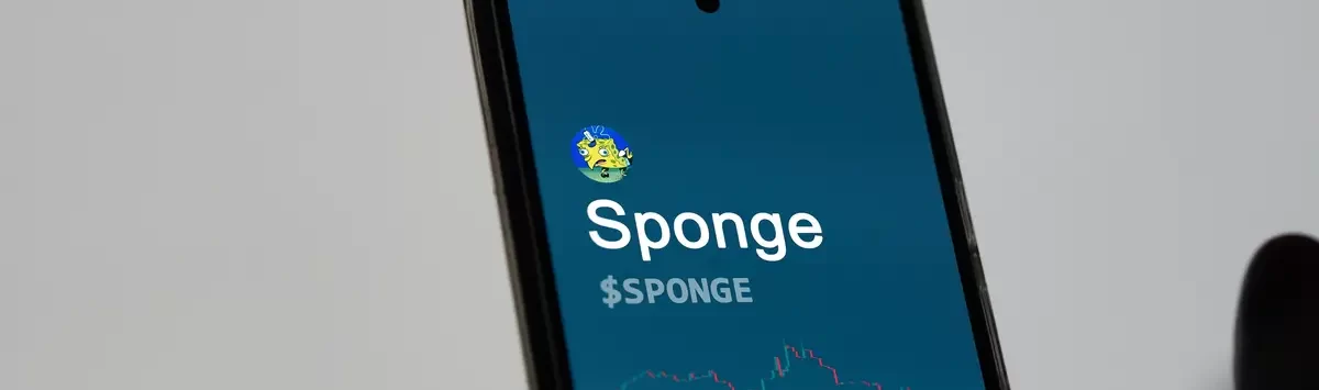 sponge coin