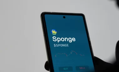 sponge coin