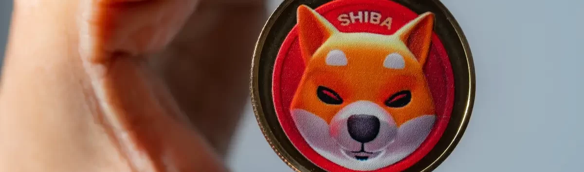 shiba